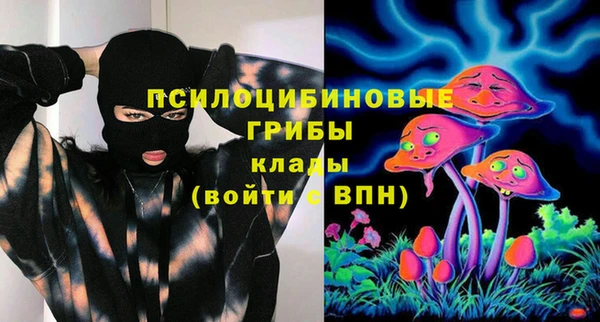 индика Абдулино