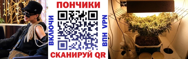 где купить   Опочка  Конопля сатива 
